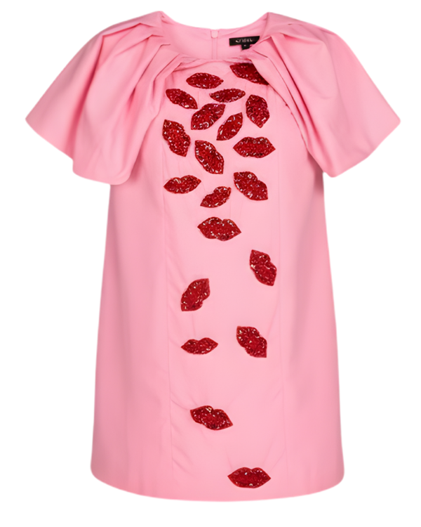 Kisses Embroidered Dress
