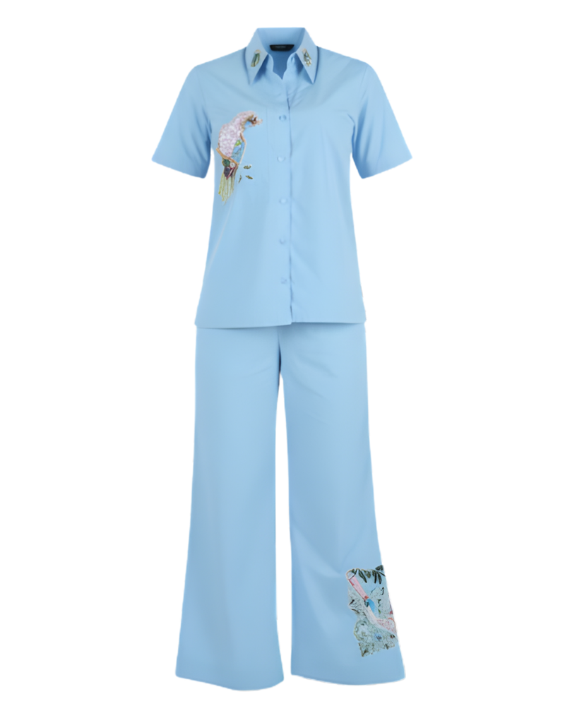Appliqué Bird Embroidered Blue Co-ord Set